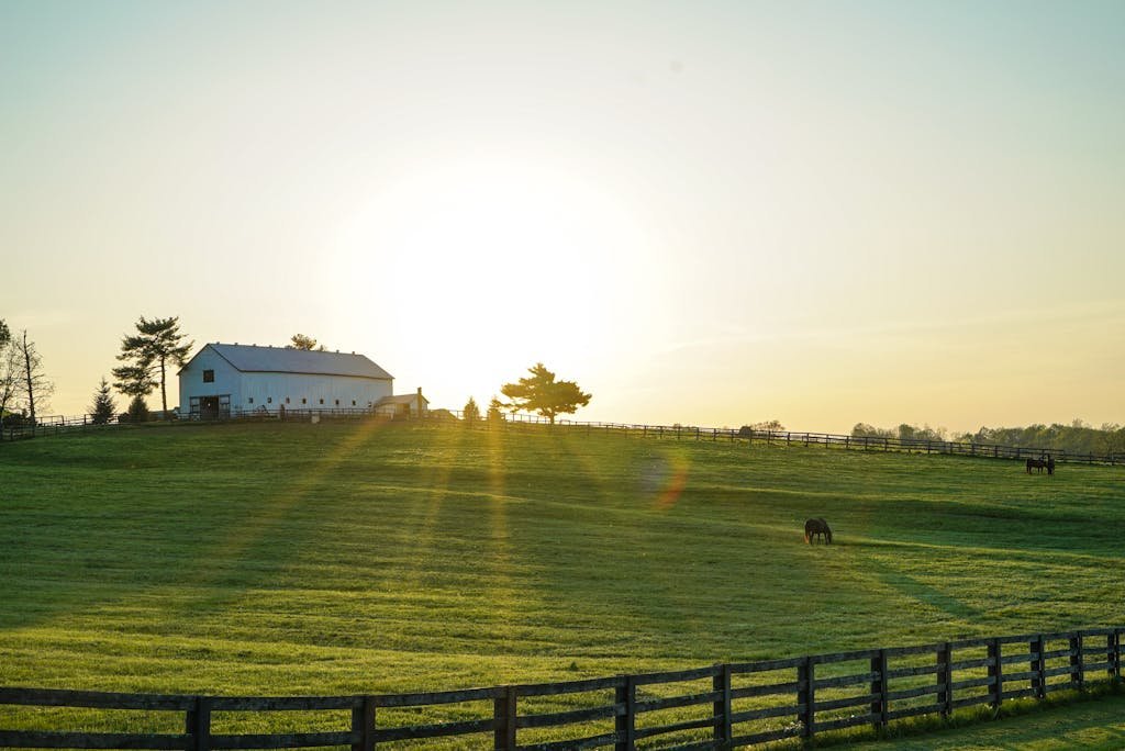 Beautiful sunrise illuminating a peaceful Kentucky farm with lush green pastures and grazing horses.