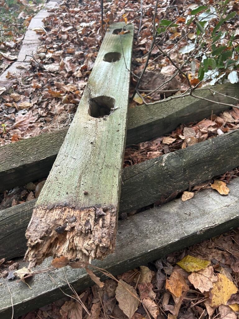 rotten wood fence material laying on a pile of dead leaves